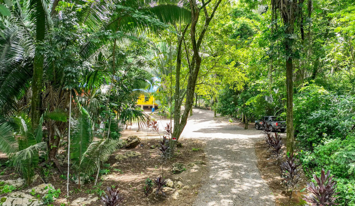 3020Acre20Eco20Retreat20with20Cave20Hummingbird20Highway2007