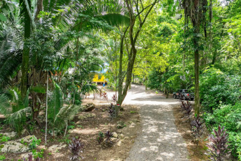 3020Acre20Eco20Retreat20with20Cave20Hummingbird20Highway2007