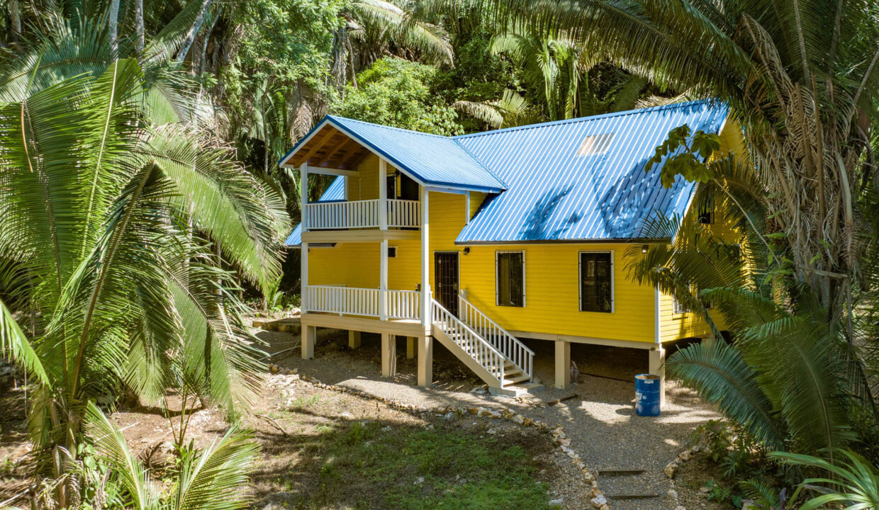 3020Acre20Eco20Retreat20with20Cave20Hummingbird20Highway2008