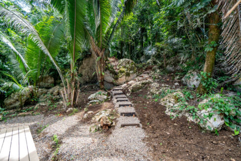 3020Acre20Eco20Retreat20with20Cave20Hummingbird20Highway2029
