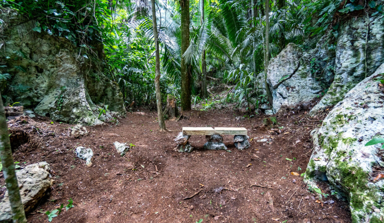 3020Acre20Eco20Retreat20with20Cave20Hummingbird20Highway2030