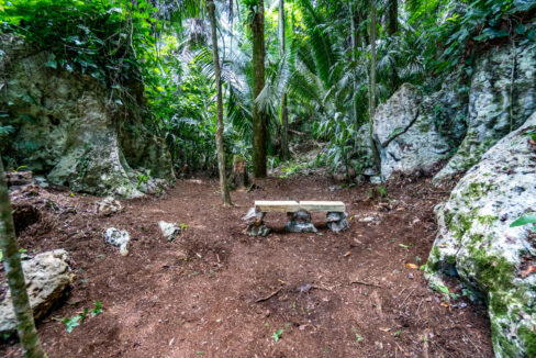 3020Acre20Eco20Retreat20with20Cave20Hummingbird20Highway2030