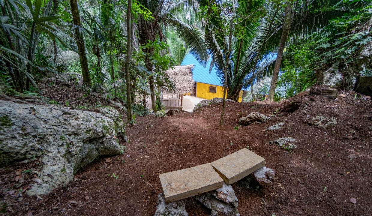 3020Acre20Eco20Retreat20with20Cave20Hummingbird20Highway2031