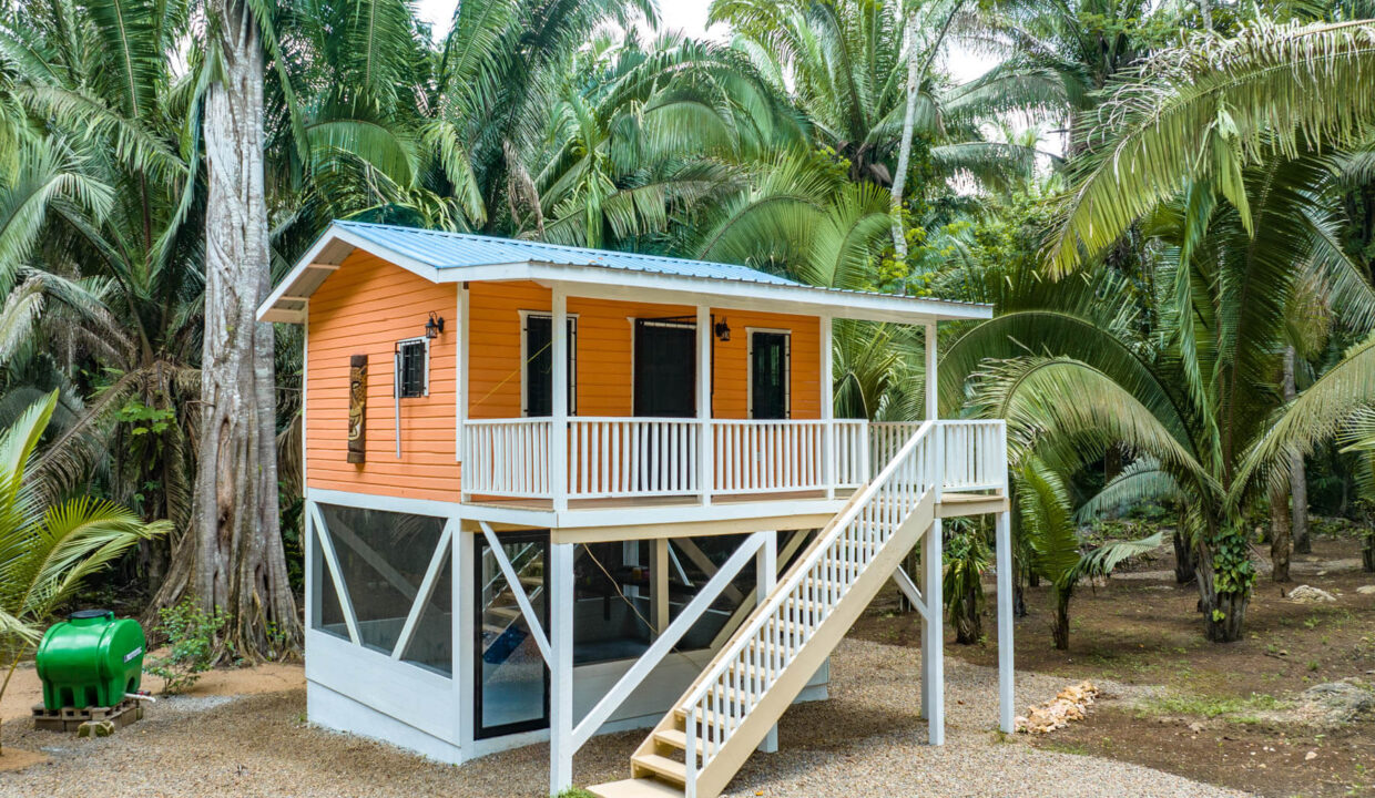 3020Acre20Eco20Retreat20with20Cave20Hummingbird20Highway2033