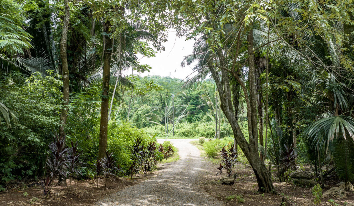 3020Acre20Eco20Retreat20with20Cave20Hummingbird20Highway2035