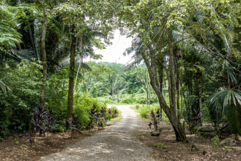 3020Acre20Eco20Retreat20with20Cave20Hummingbird20Highway2035