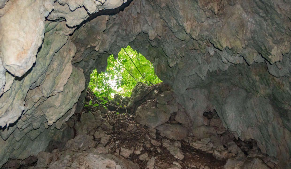 3020Acre20Eco20Retreat20with20Cave20Hummingbird20Highway2036