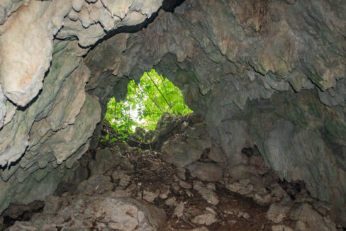3020Acre20Eco20Retreat20with20Cave20Hummingbird20Highway2036