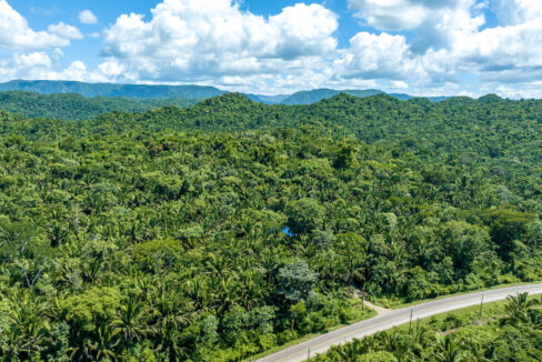 3020Acre20Eco20Retreat20with20Cave20Hummingbird20Highway2037