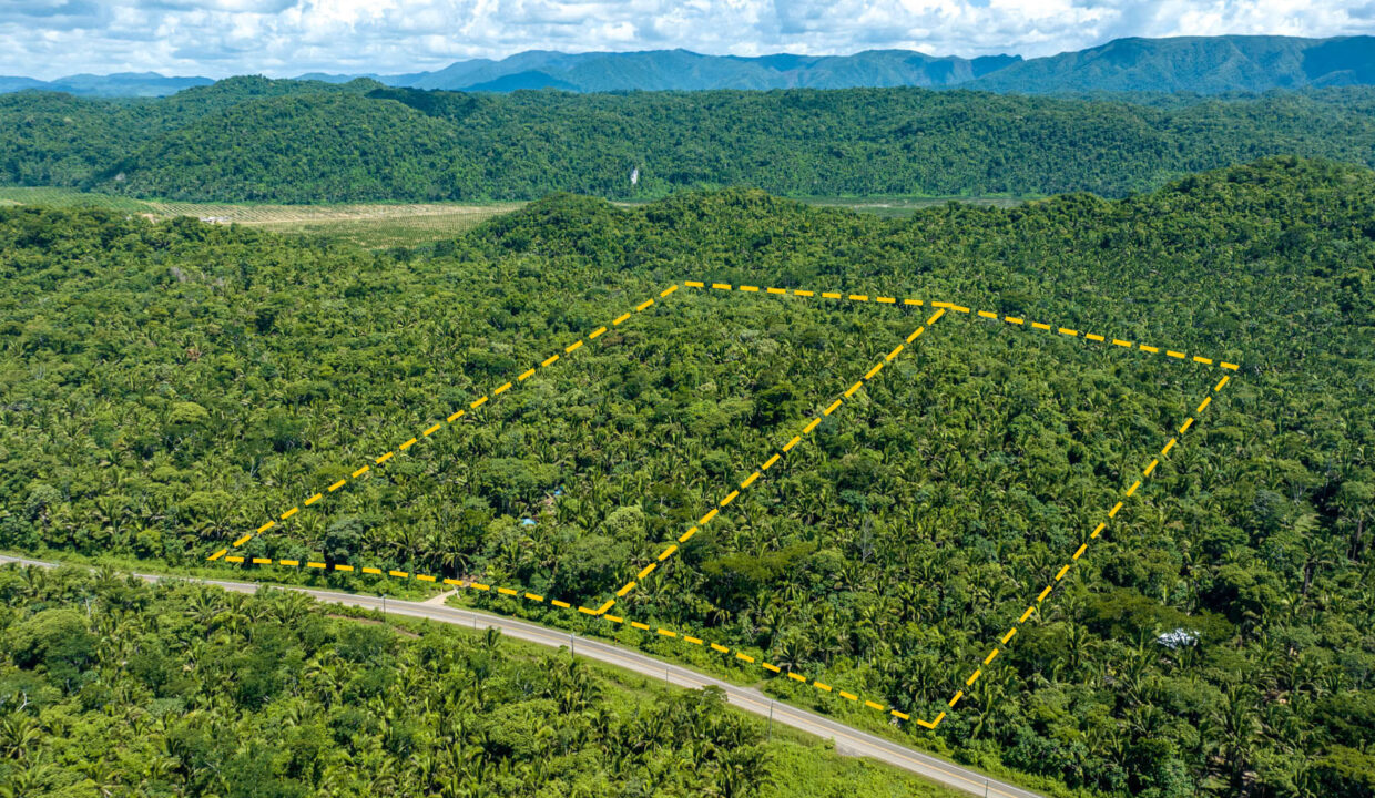 3020Acre20Eco20Retreat20with20Cave20Hummingbird20Highway2038