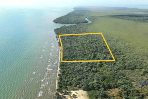 31.43-acres-1240x720
