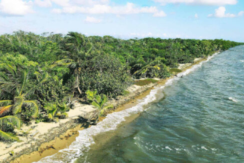 31.43-acres-2-1240x720