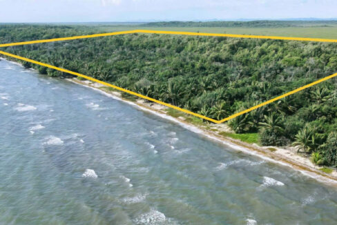 31.43-acres-3-1240x720
