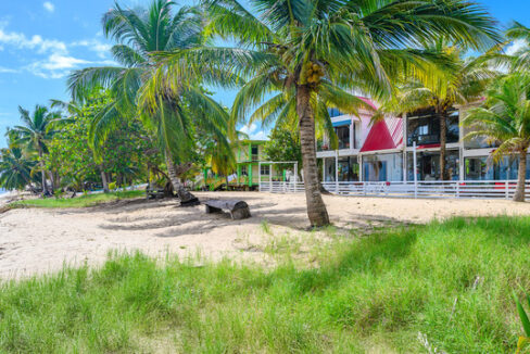3234_beachviewgrassy