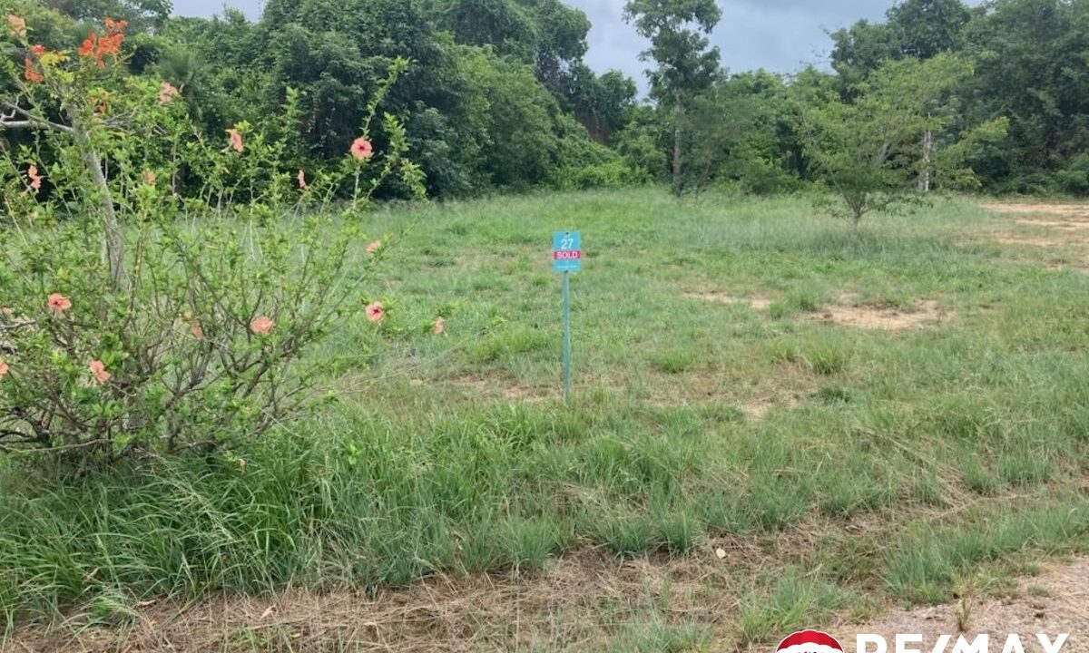 3236_Lot27