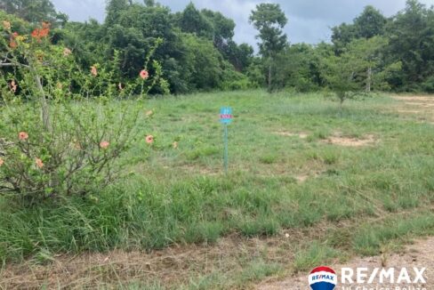3236_Lot272 (1)