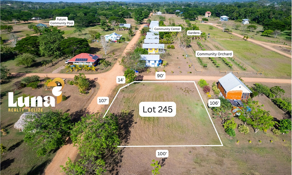 4.-Lot-245