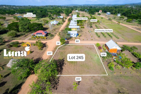 4.-Lot-245