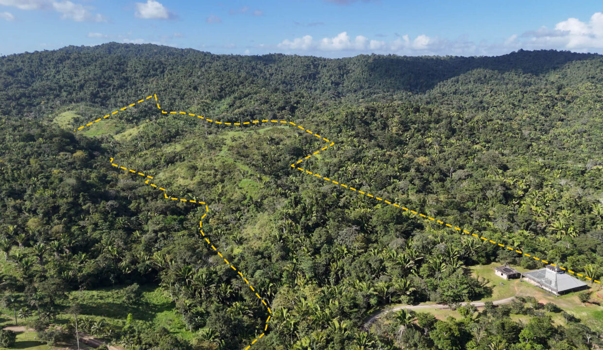 5020Acres20Rainforest20Estate20Waterfall20Creek20Hummingbird20Hills2001