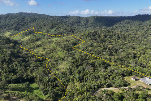 5020Acres20Rainforest20Estate20Waterfall20Creek20Hummingbird20Hills2001