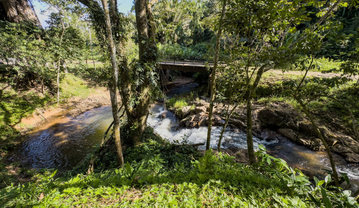 5020Acres20Rainforest20Estate20Waterfall20Creek20Hummingbird20Hills2005