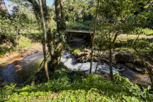 5020Acres20Rainforest20Estate20Waterfall20Creek20Hummingbird20Hills2005