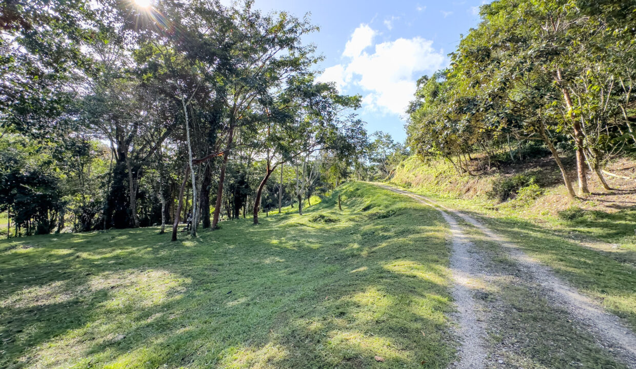 5020Acres20Rainforest20Estate20Waterfall20Creek20Hummingbird20Hills2006