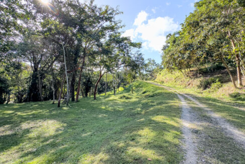 5020Acres20Rainforest20Estate20Waterfall20Creek20Hummingbird20Hills2006