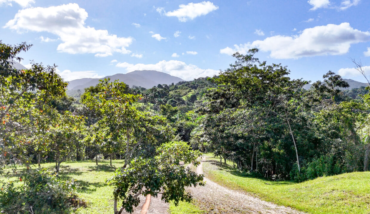 5020Acres20Rainforest20Estate20Waterfall20Creek20Hummingbird20Hills2008