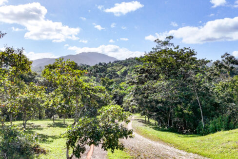 5020Acres20Rainforest20Estate20Waterfall20Creek20Hummingbird20Hills2008
