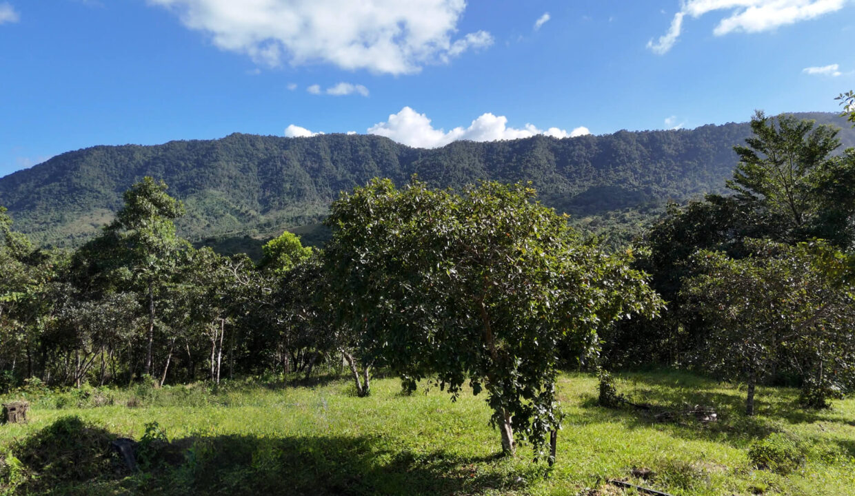 5020Acres20Rainforest20Estate20Waterfall20Creek20Hummingbird20Hills2014