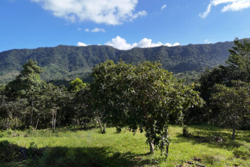 5020Acres20Rainforest20Estate20Waterfall20Creek20Hummingbird20Hills2014