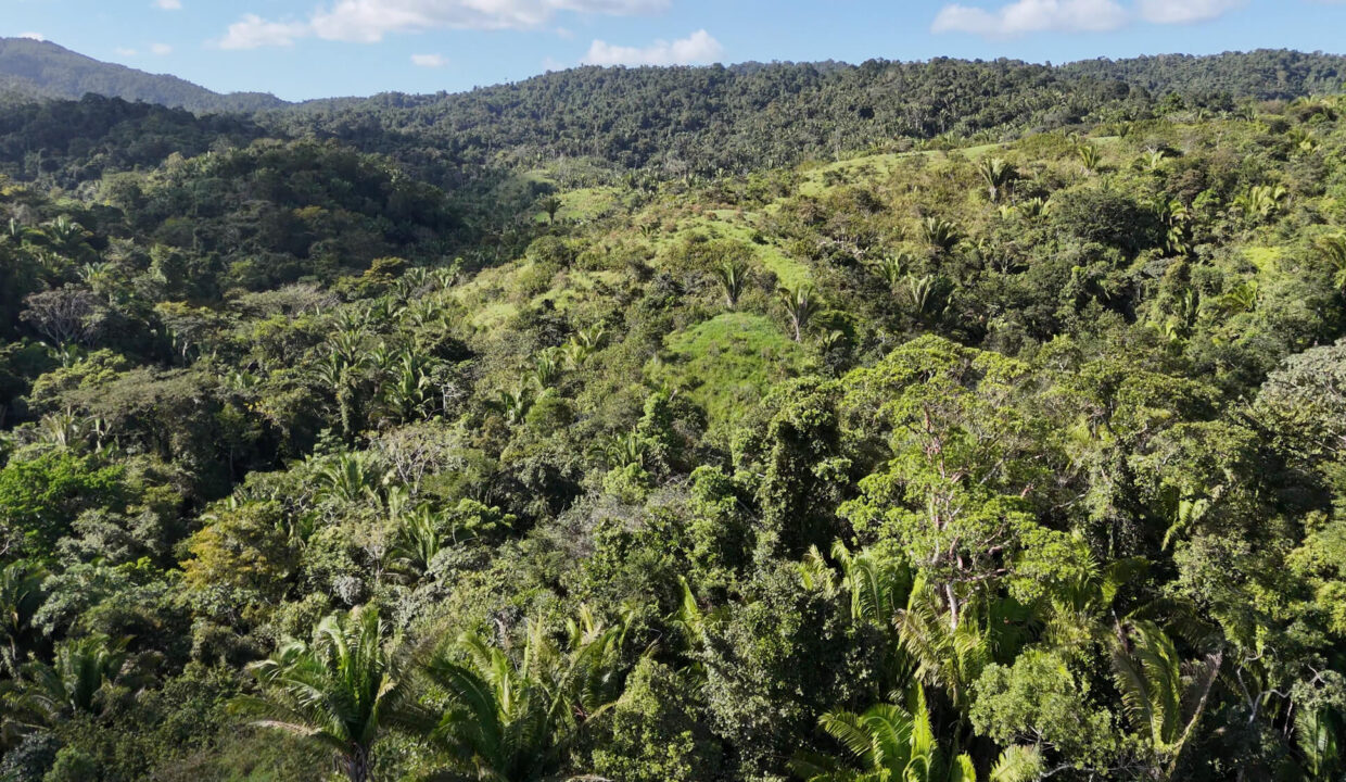 5020Acres20Rainforest20Estate20Waterfall20Creek20Hummingbird20Hills2020