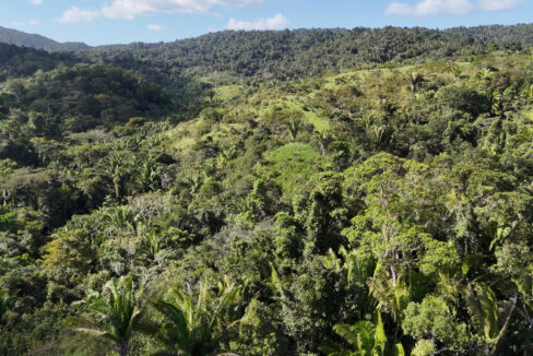 5020Acres20Rainforest20Estate20Waterfall20Creek20Hummingbird20Hills2020