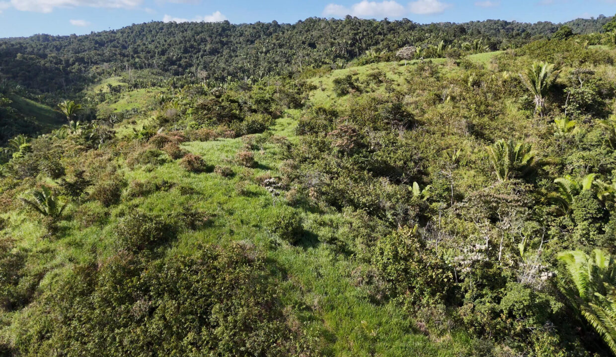 5020Acres20Rainforest20Estate20Waterfall20Creek20Hummingbird20Hills2021