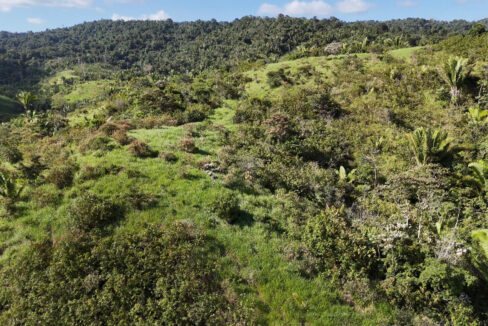 5020Acres20Rainforest20Estate20Waterfall20Creek20Hummingbird20Hills2021