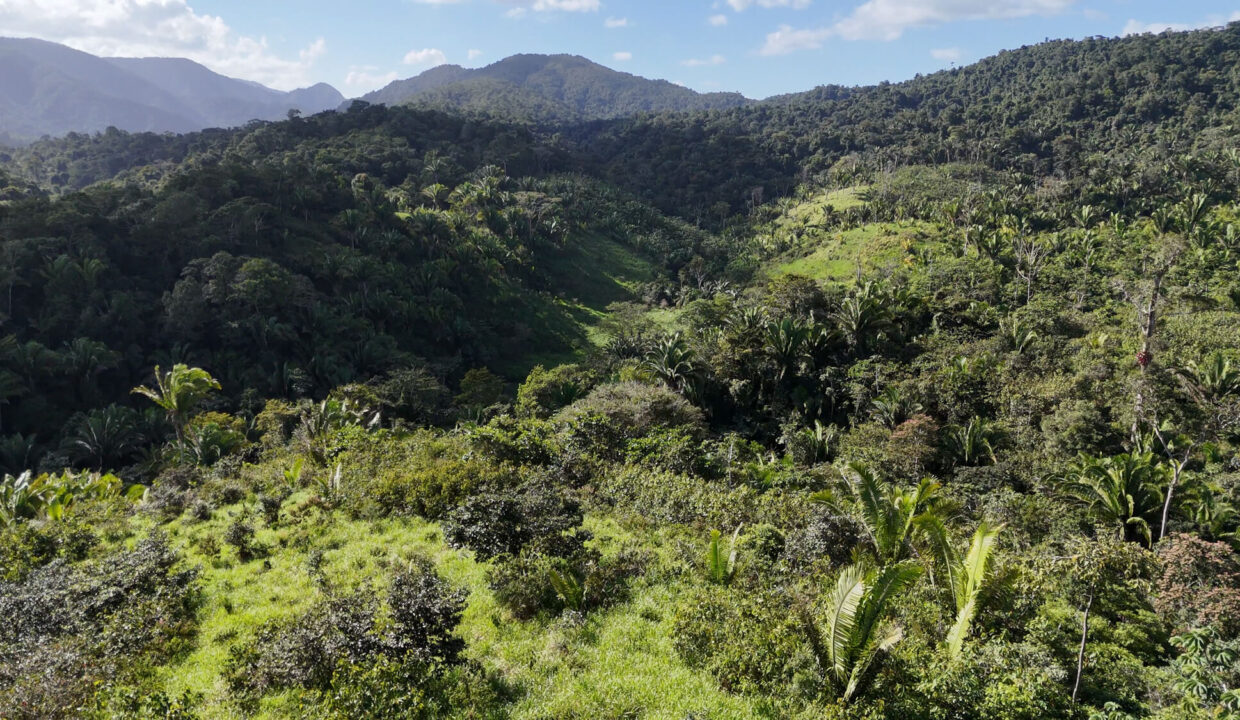 5020Acres20Rainforest20Estate20Waterfall20Creek20Hummingbird20Hills2022