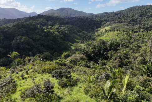 5020Acres20Rainforest20Estate20Waterfall20Creek20Hummingbird20Hills2022