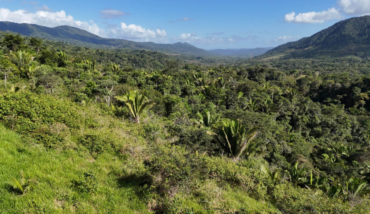 5020Acres20Rainforest20Estate20Waterfall20Creek20Hummingbird20Hills2023
