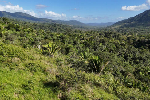 5020Acres20Rainforest20Estate20Waterfall20Creek20Hummingbird20Hills2023
