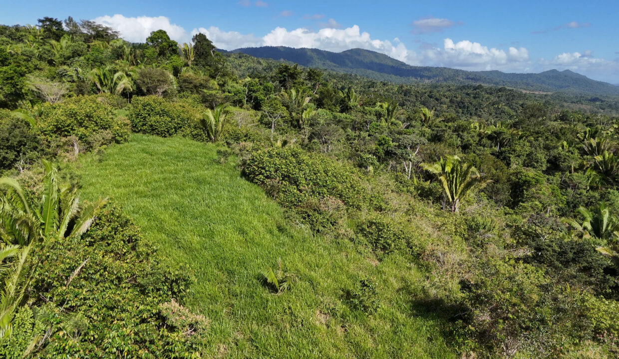 5020Acres20Rainforest20Estate20Waterfall20Creek20Hummingbird20Hills2024