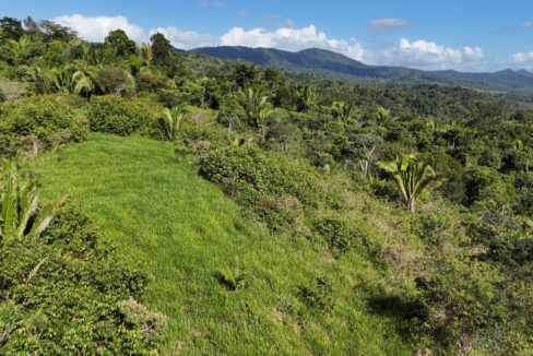 5020Acres20Rainforest20Estate20Waterfall20Creek20Hummingbird20Hills2024