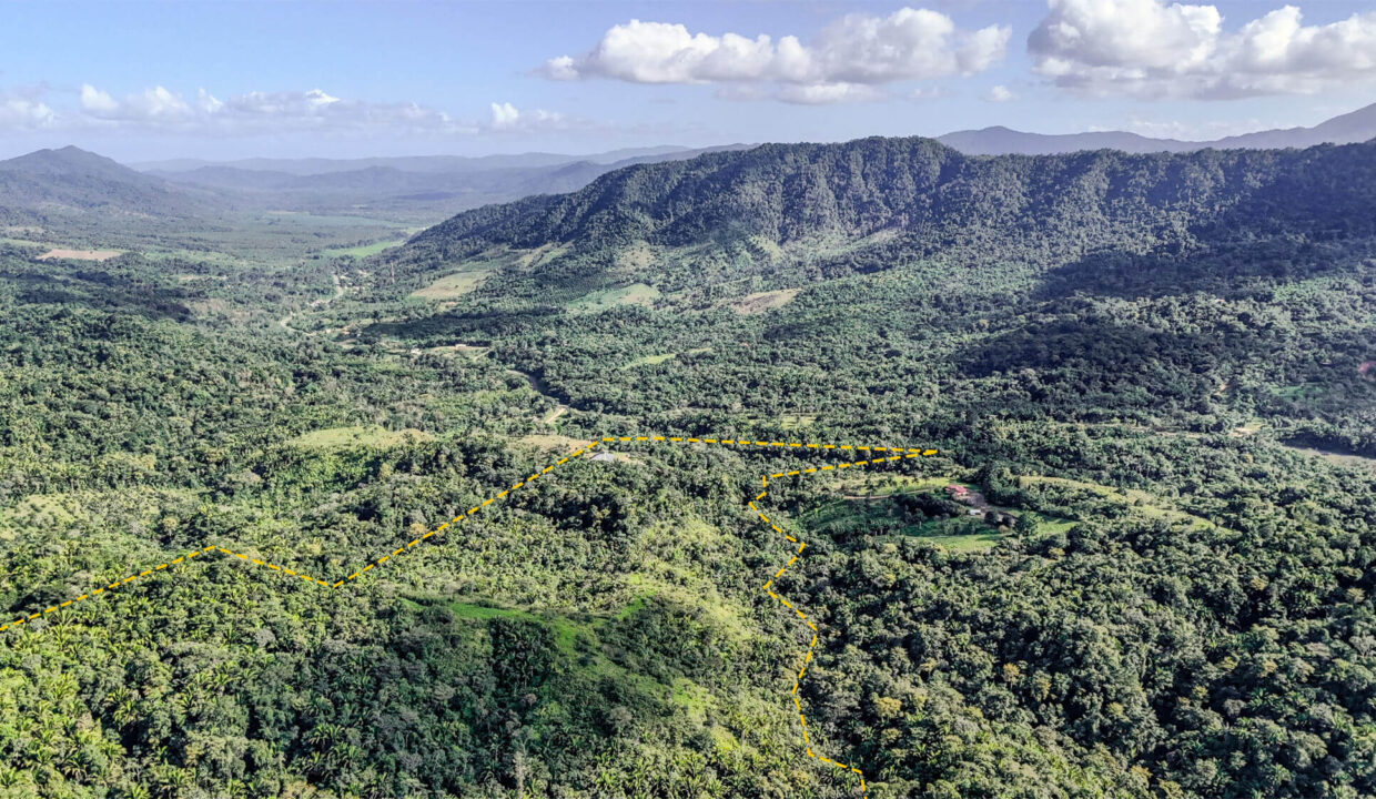 5020Acres20Rainforest20Estate20Waterfall20Creek20Hummingbird20Hills2027