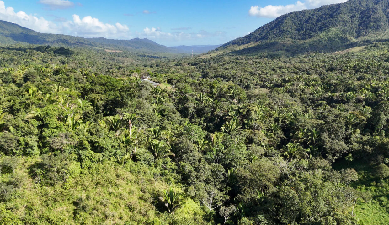 5020Acres20Rainforest20Estate20Waterfall20Creek20Hummingbird20Hills2028