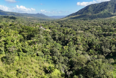 5020Acres20Rainforest20Estate20Waterfall20Creek20Hummingbird20Hills2028