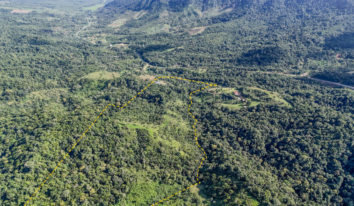 5020Acres20Rainforest20Estate20Waterfall20Creek20Hummingbird20Hills2029