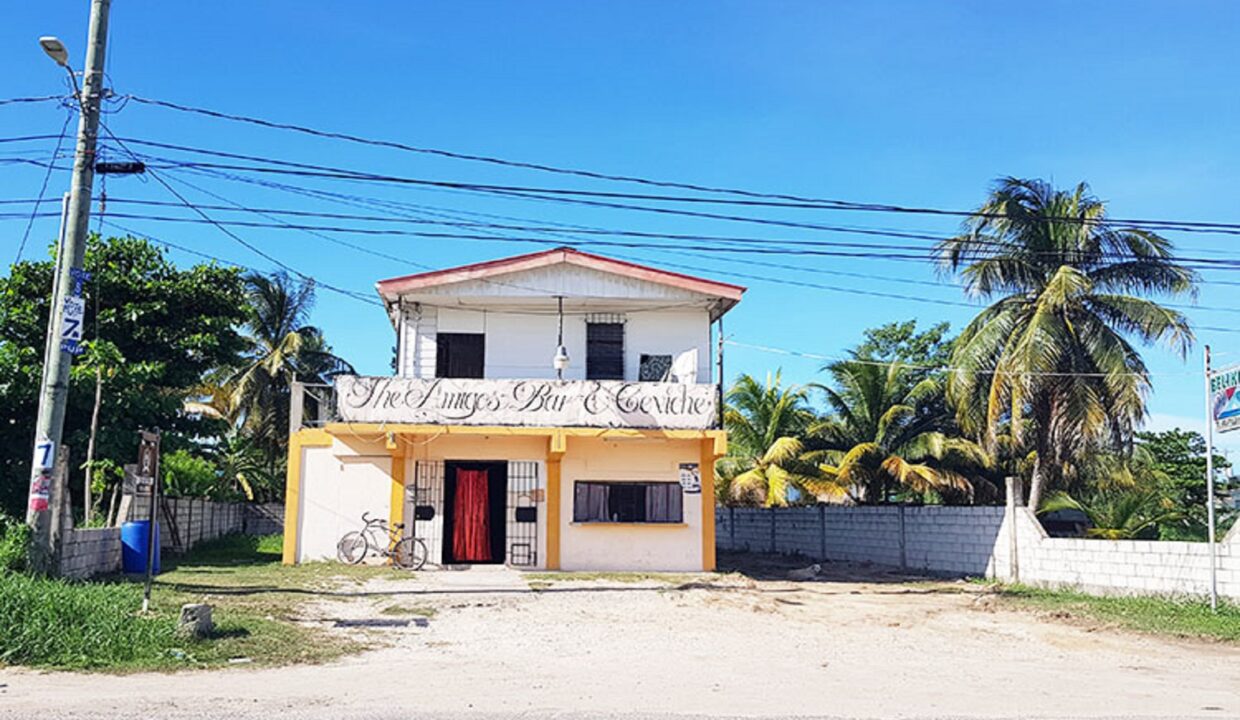 5commercialpropertyladyville