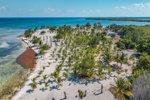 CALABASH-CAYE-0878