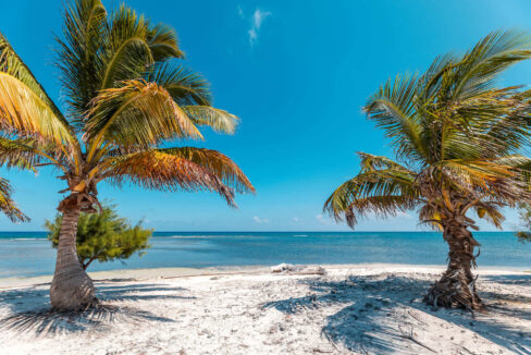 CALABASH-CAYE-5847