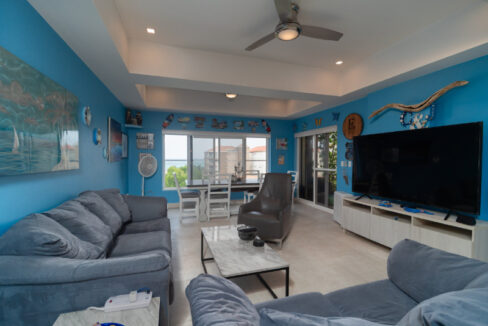 CoconutsBlue-5